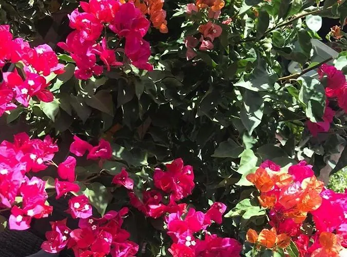 Βίλα Chill And Joy *